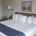 Rodeway Inn Suites Mackinaw - 4 King 1